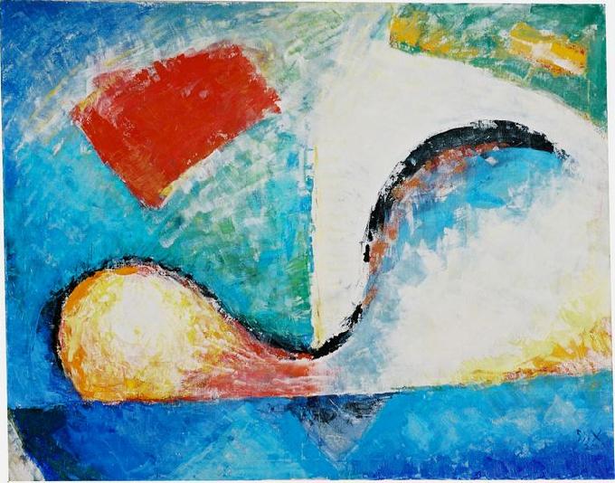 2000-08 salus 115x145 chf 8500.jpg